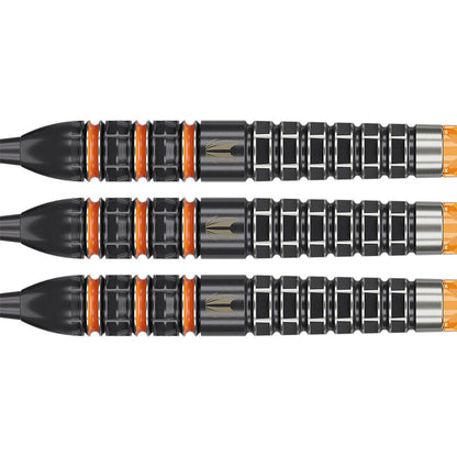 Raymond van Barneveld RVB 95K SP Steeltip 95% - Point & Purpose