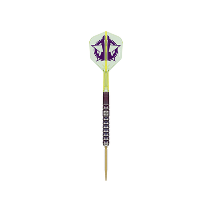 Target Luke Littler 90% World Champion Steel Tip - 23g - Point & Purpose